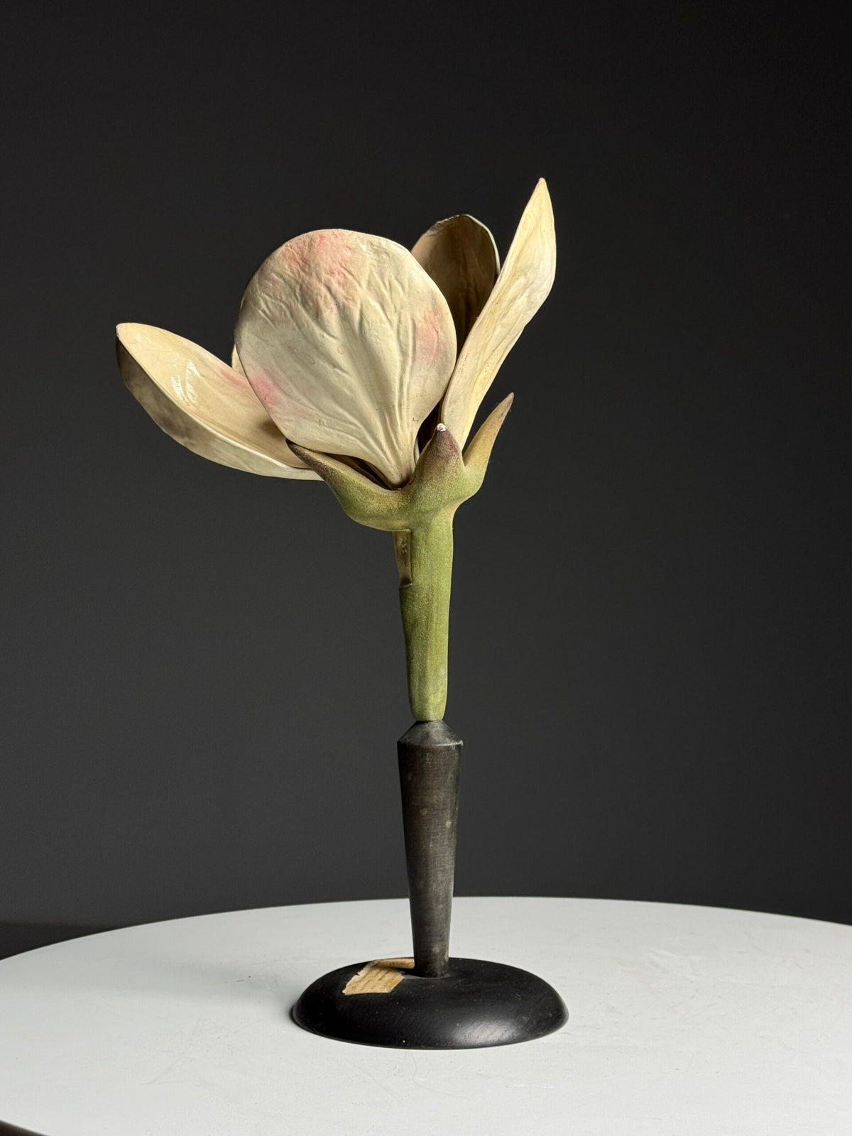 German Botanical Flower Model, Osterloh Model 21, c. 1900, photo 10