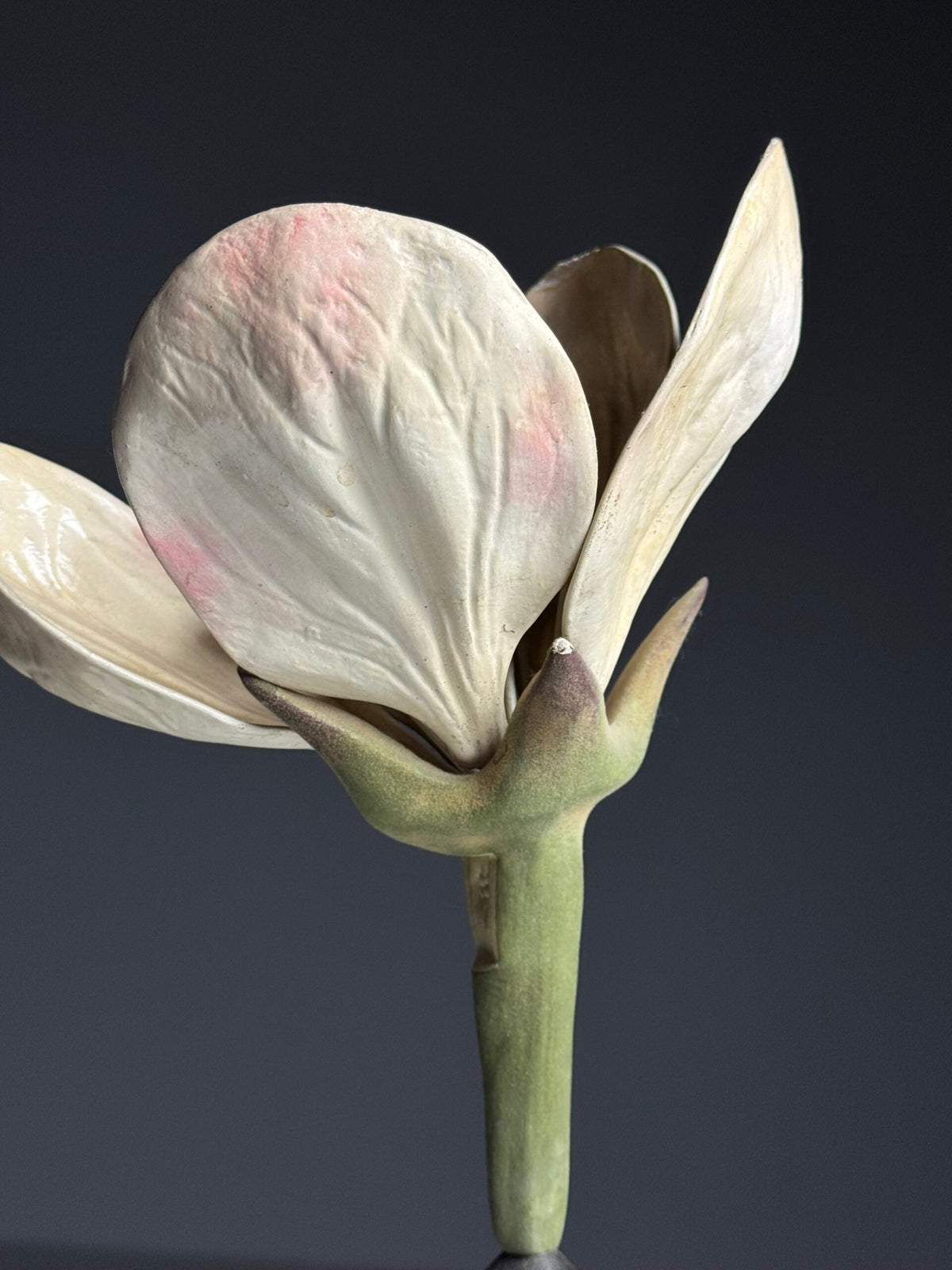 German Botanical Flower Model, Osterloh Model 21, c. 1900, photo 9
