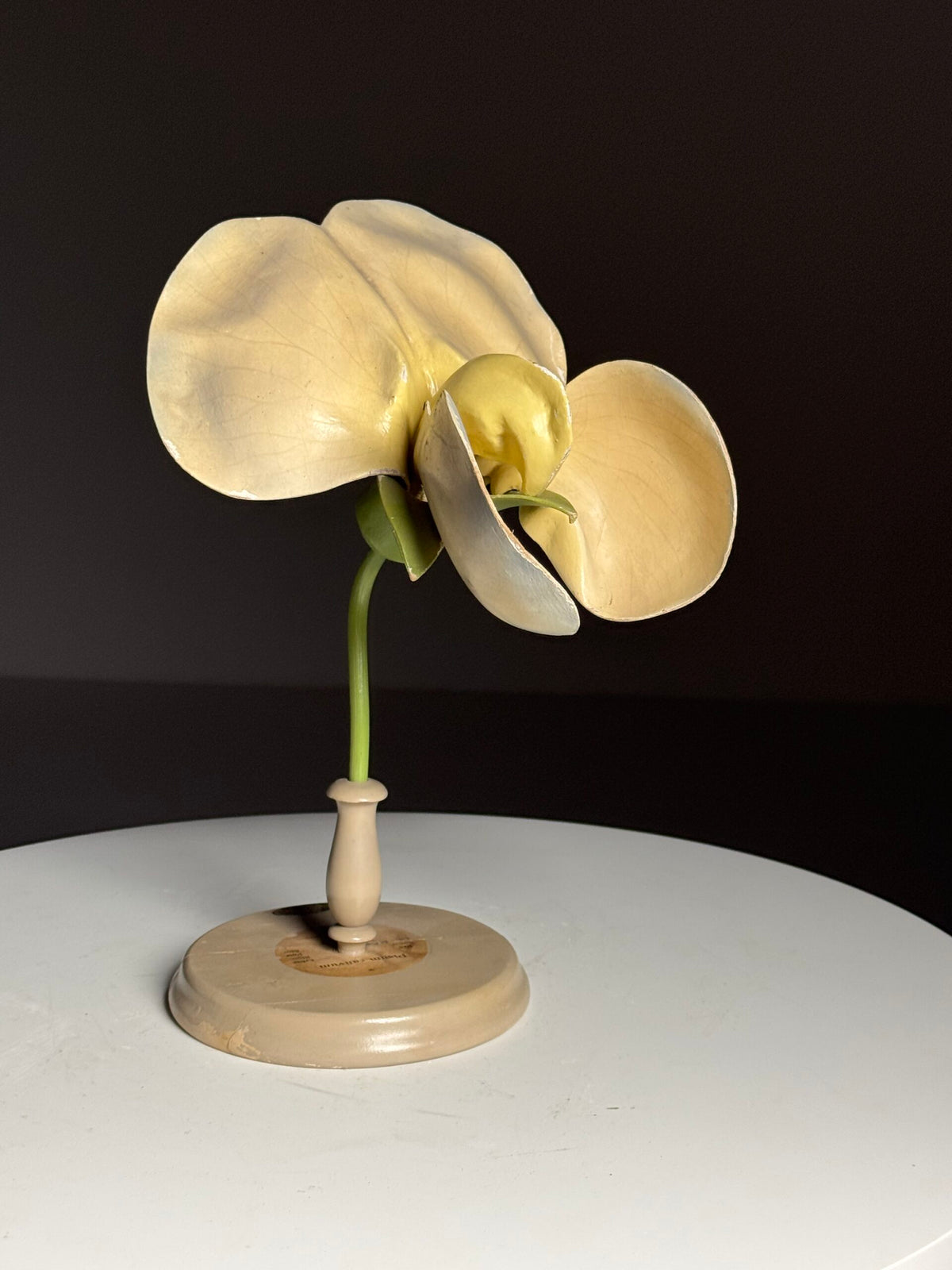 German Botanical Flower Model in Papier-mâché and Wax, c. 1900, photo 1
