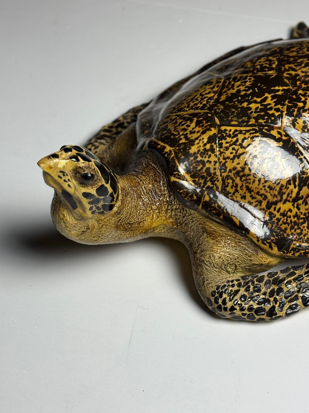 Large Realistic Plastic Turtle Replica, photo 17