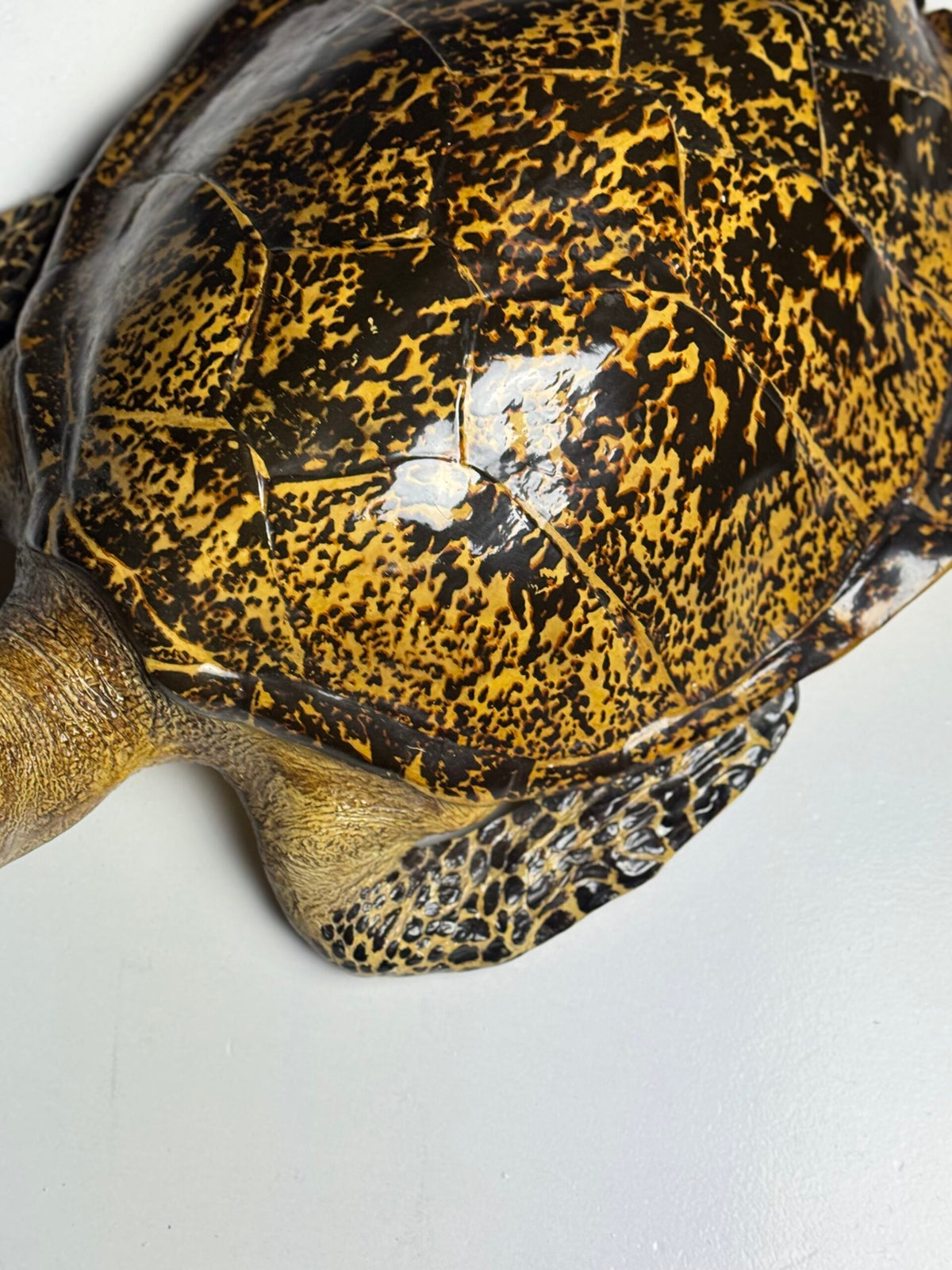 Large Realistic Plastic Turtle Replica, photo 16