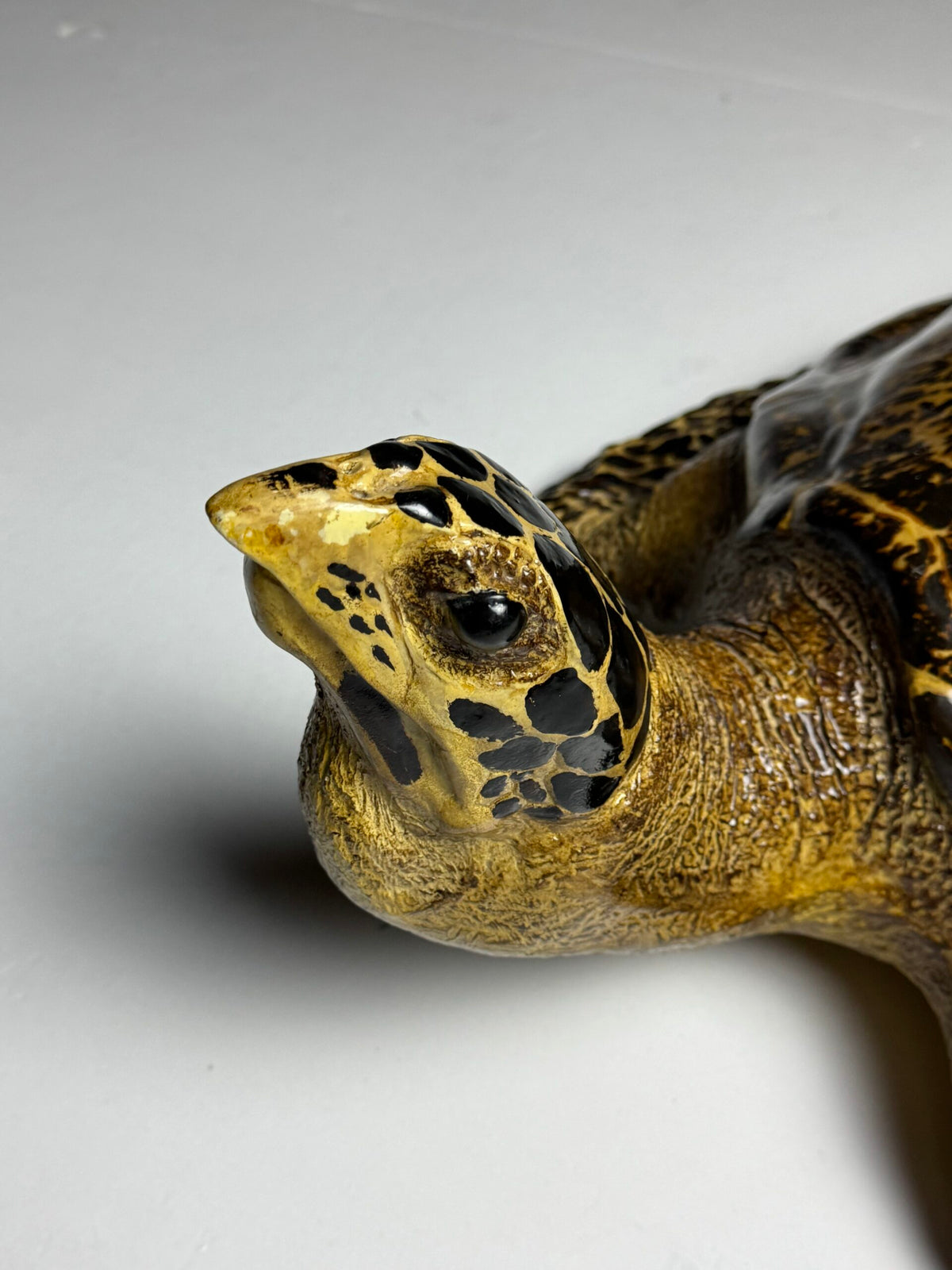 Large Realistic Plastic Turtle Replica, photo 11