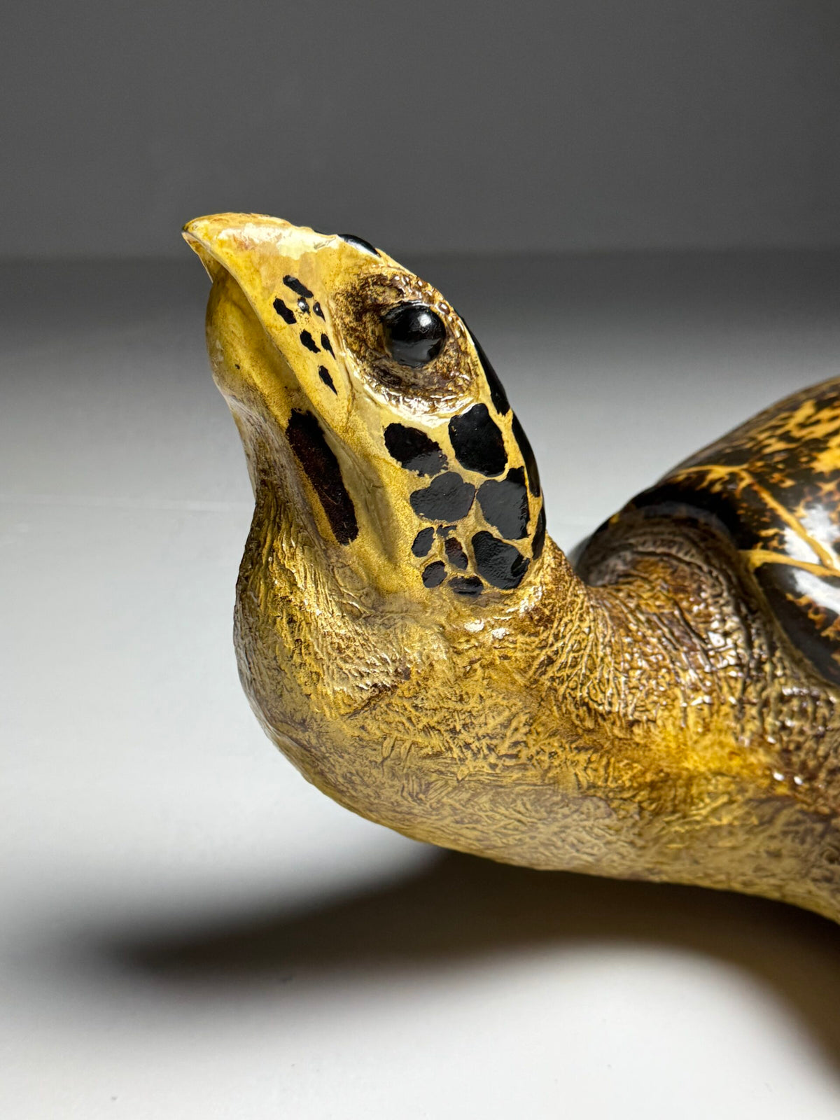 Large Realistic Plastic Turtle Replica, photo 10