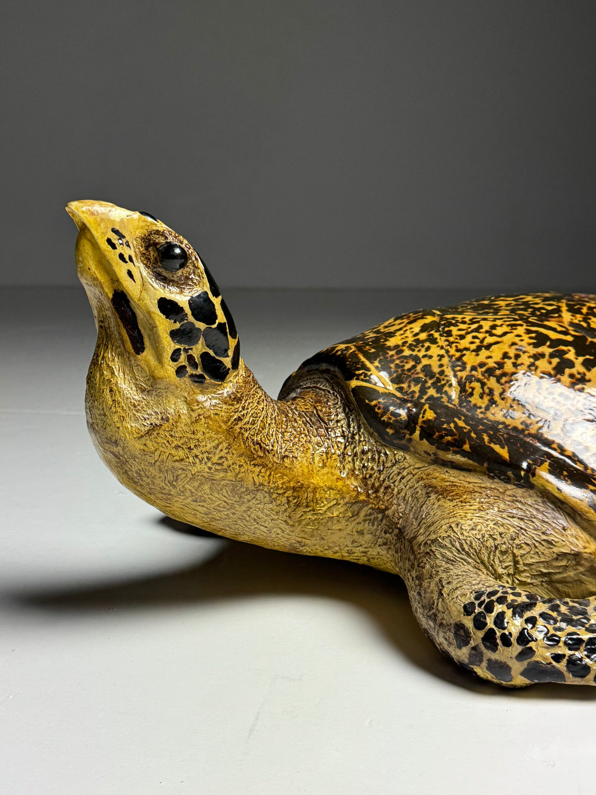 Large Realistic Plastic Turtle Replica, photo 9