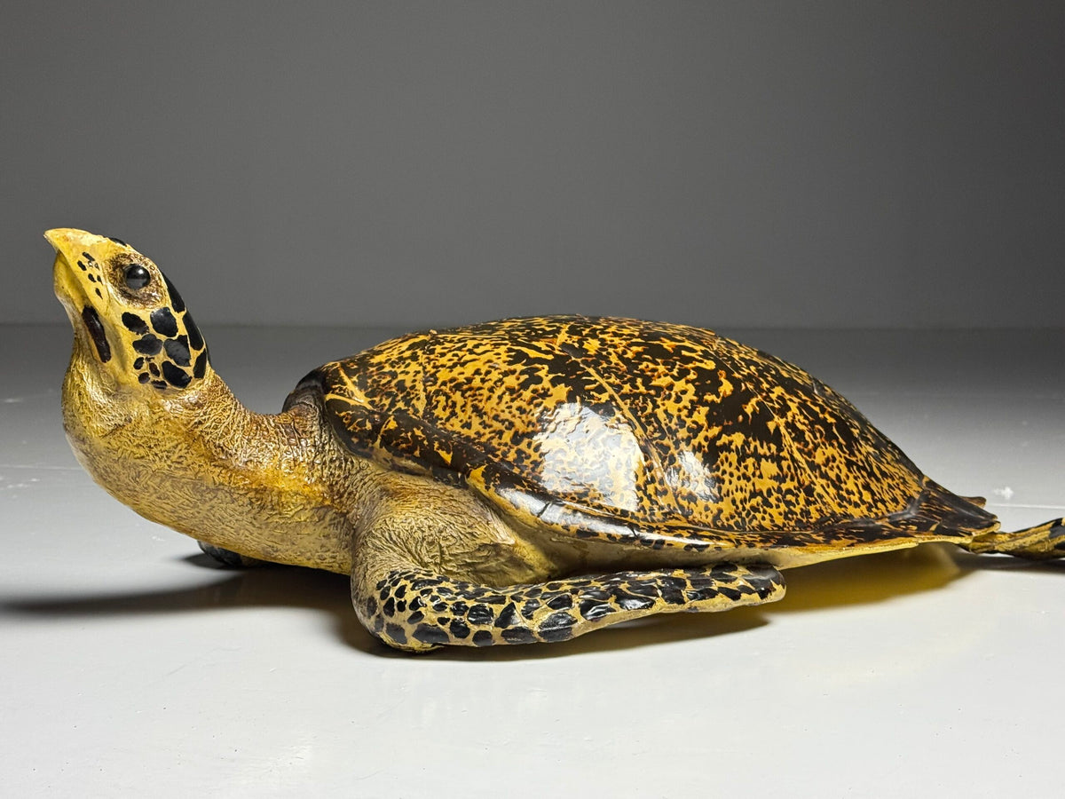 Large Realistic Plastic Turtle Replica, photo 8