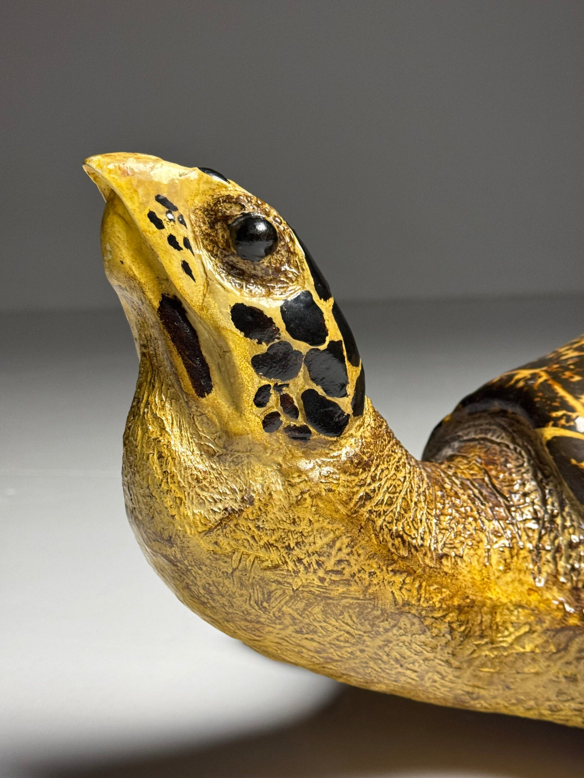 Large Realistic Plastic Turtle Replica, photo 6