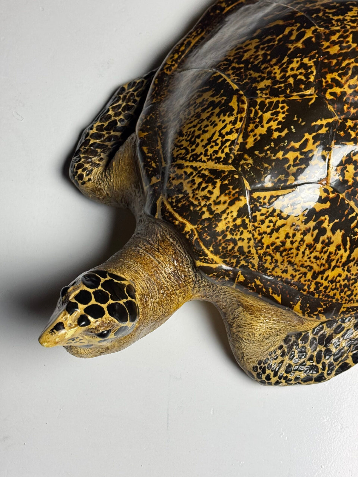 Large Realistic Plastic Turtle Replica, photo 5