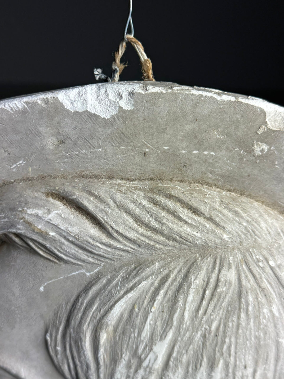Plaster Medallion Signed G. Evrard, France, 1862, photo 14
