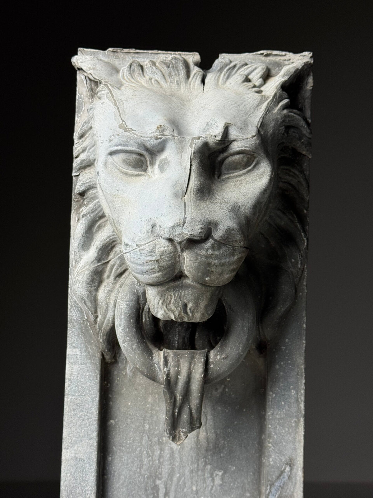 Zinc Lion's Head Fragment on Custom Stand, c. 1900, photo 4