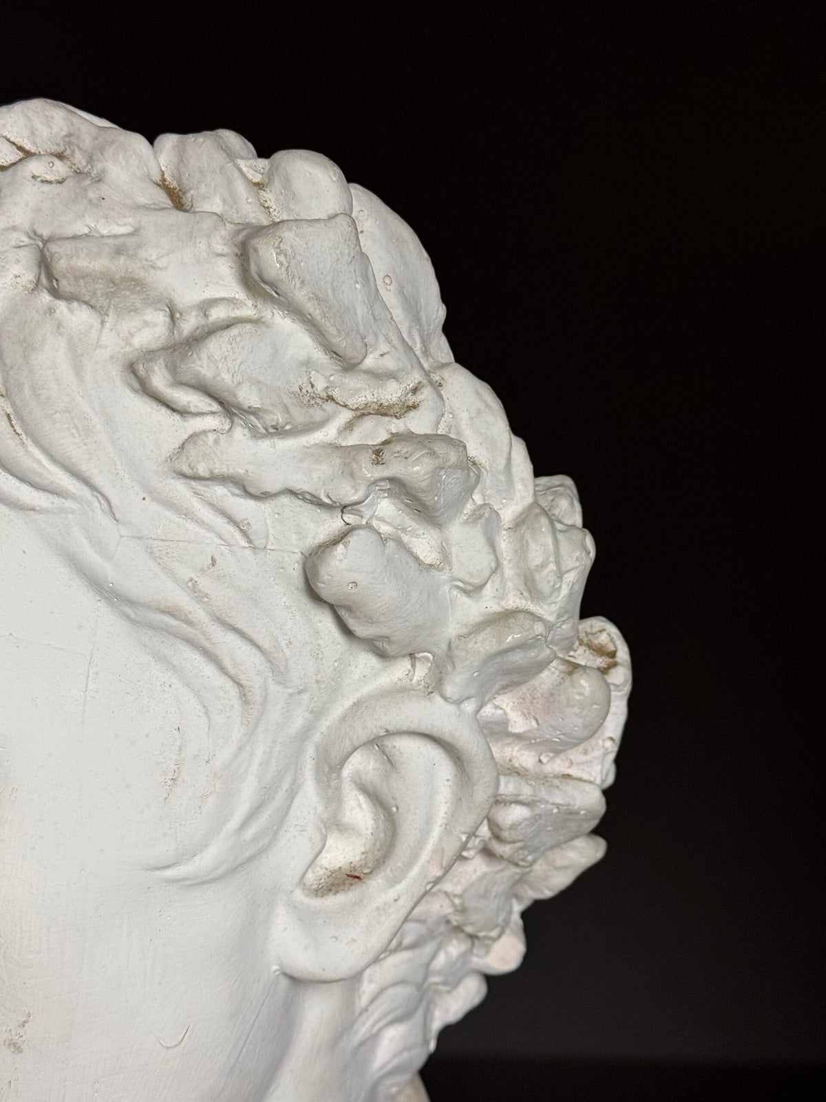 Plaster Bust of Emperor Augustus, Late 20th Century, photo 20