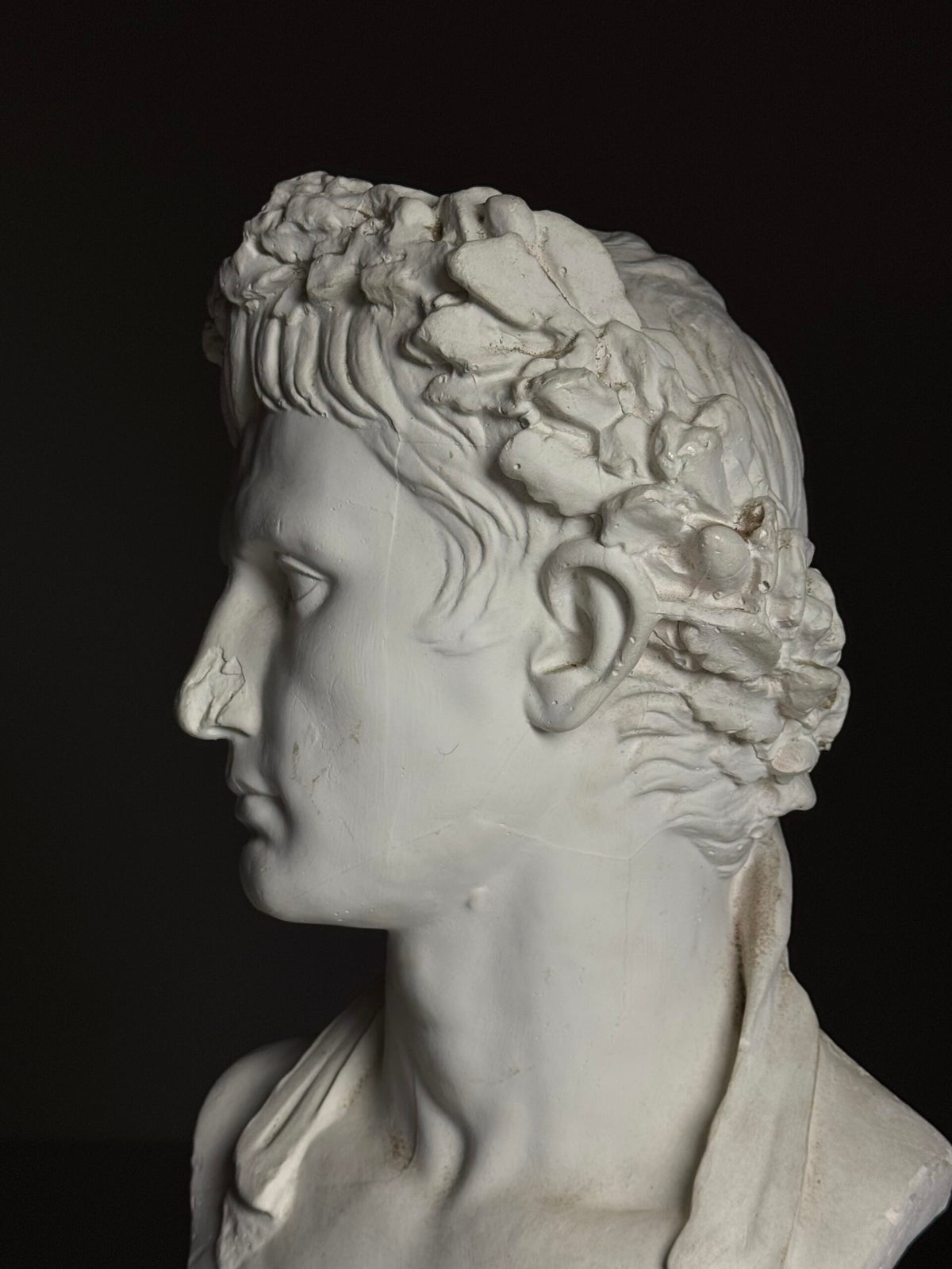 Plaster Bust of Emperor Augustus, Late 20th Century, photo 17