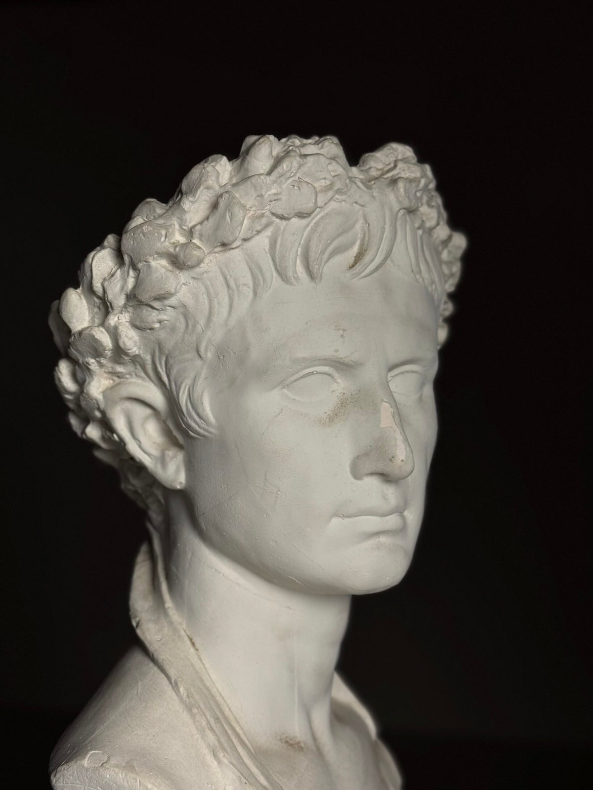 Plaster Bust of Emperor Augustus, Late 20th Century, photo 9