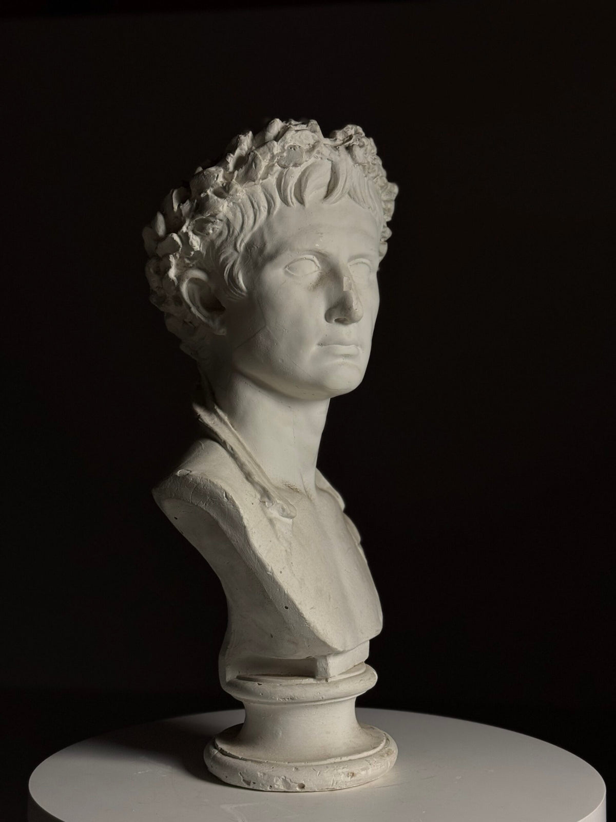 Plaster Bust of Emperor Augustus, Late 20th Century, photo 8