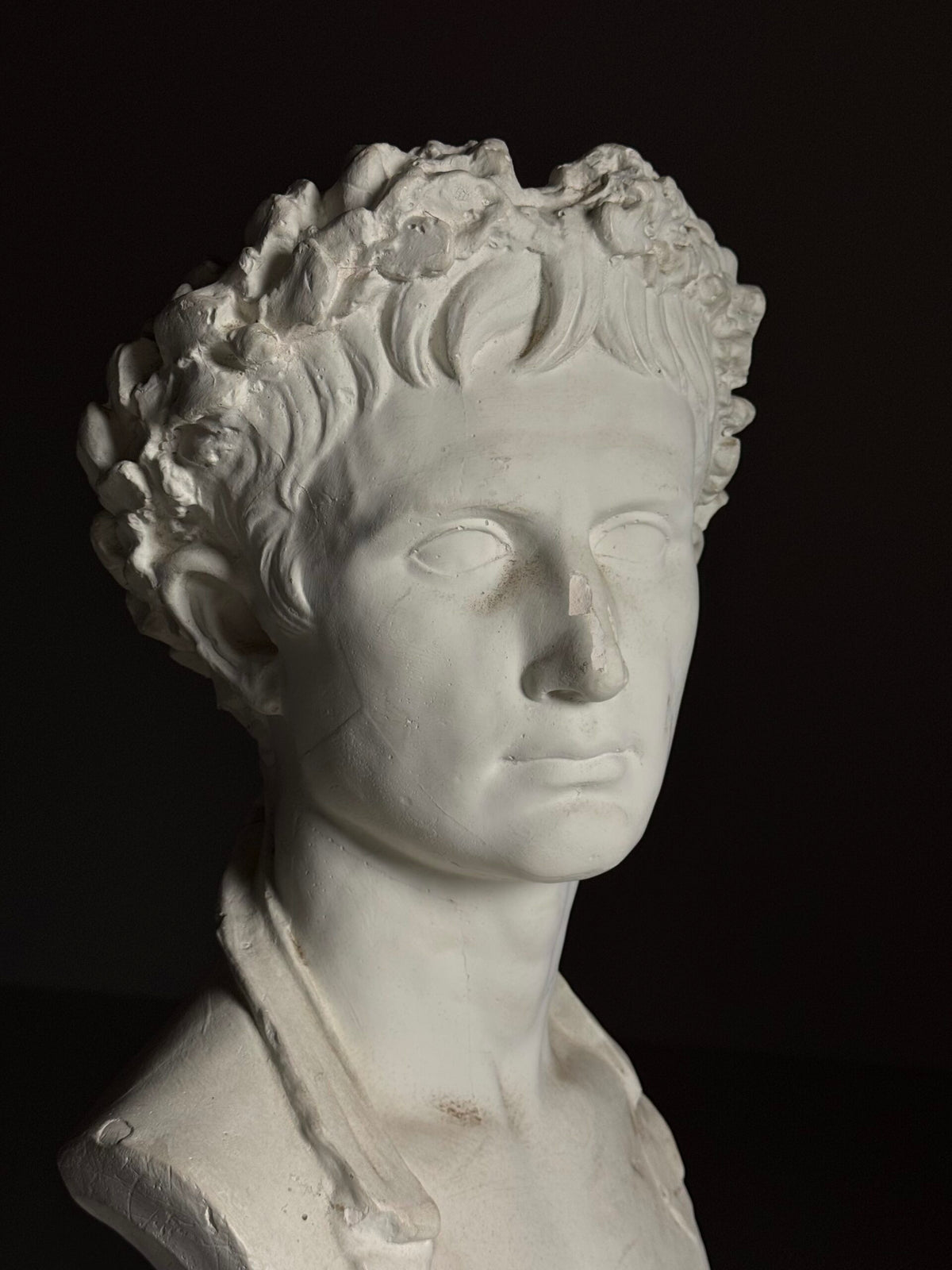 Plaster Bust of Emperor Augustus, Late 20th Century, photo 6