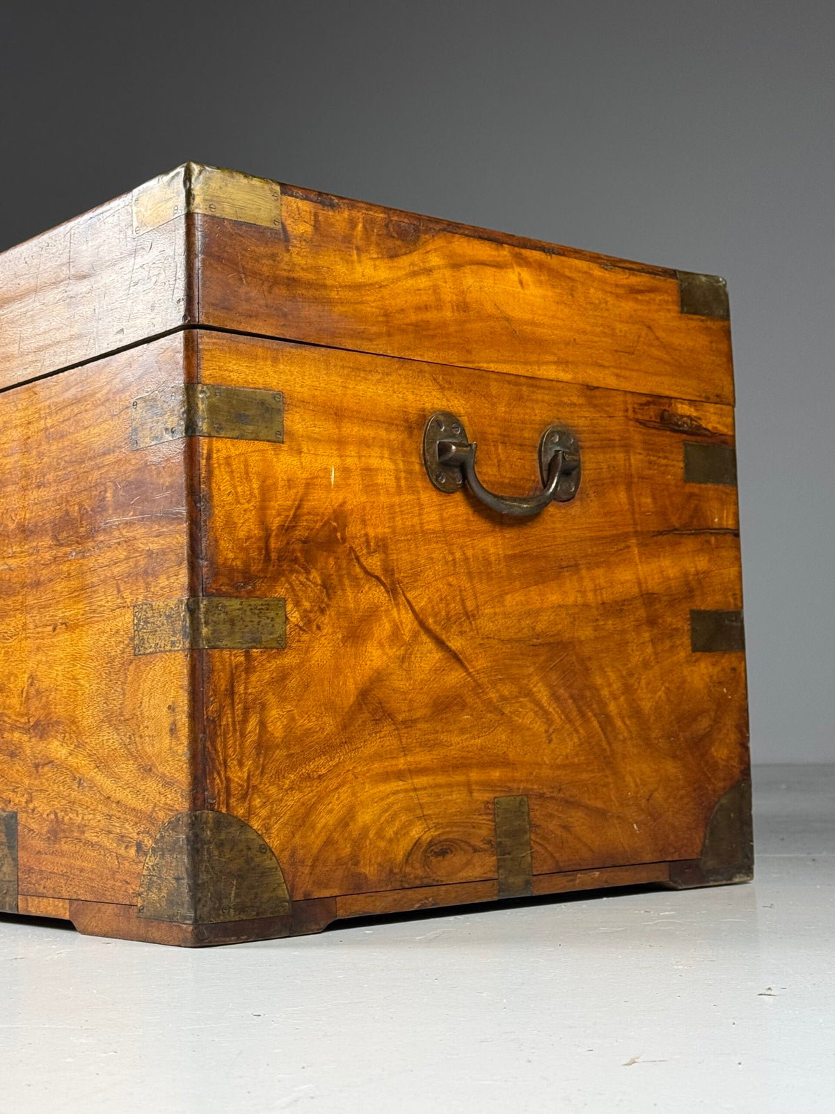 English Camphor Wood Campaign Chest, 19th Century, photo 6