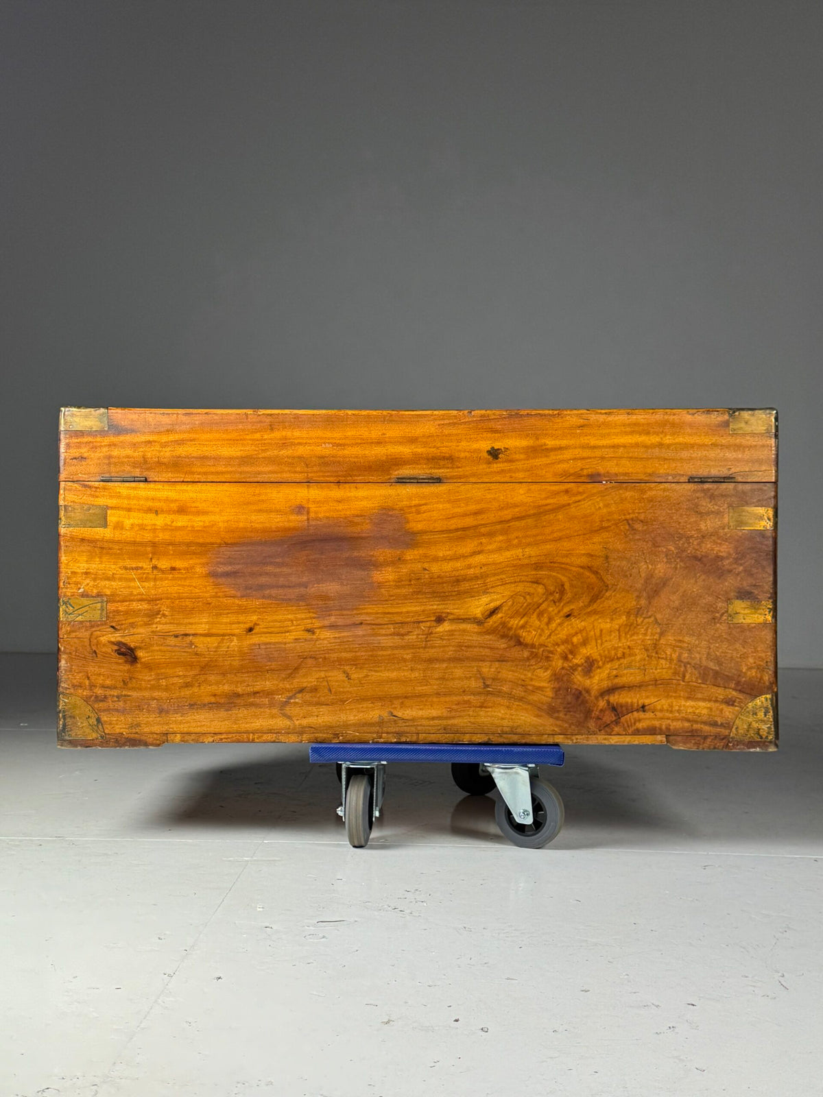 English Camphor Wood Campaign Chest, 19th Century, photo 2
