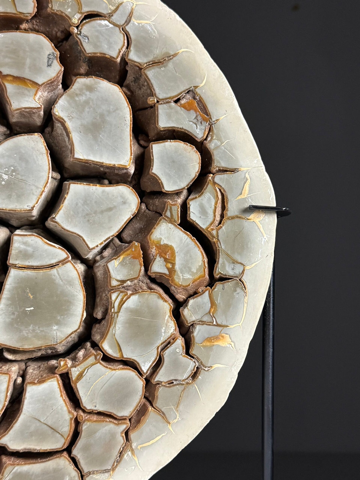 Large Septarian Nodule on Custom Stand, photo 5