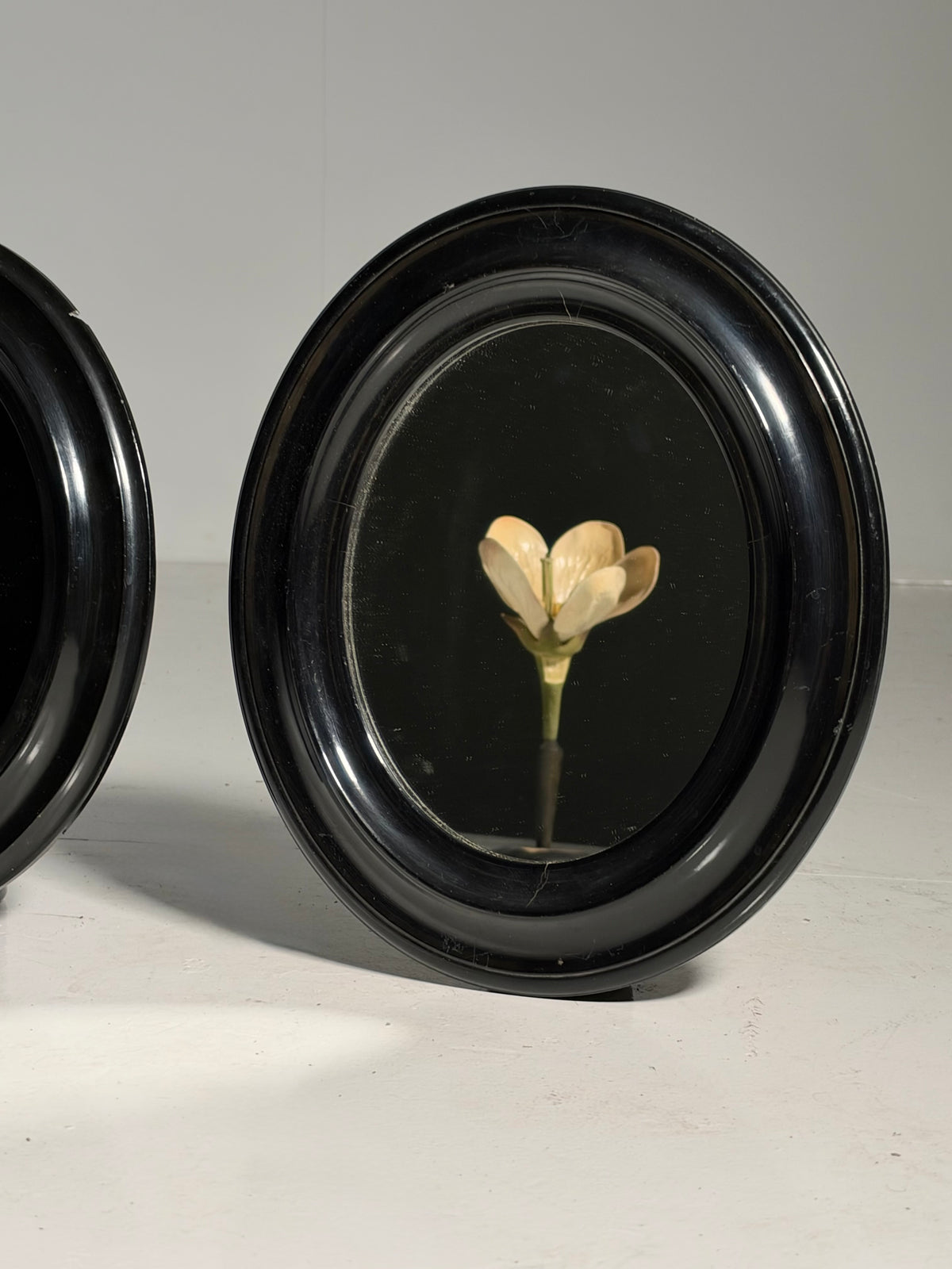 Pair of oval mirrors, 19th century